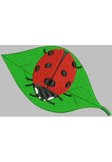 Chi012 - Joaninha lady bug